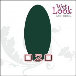 Gel Color Wet Look 5g #020